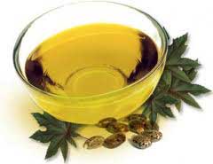 Manufacturers Exporters and Wholesale Suppliers of Castor Oil Dhar Madhya Pradesh